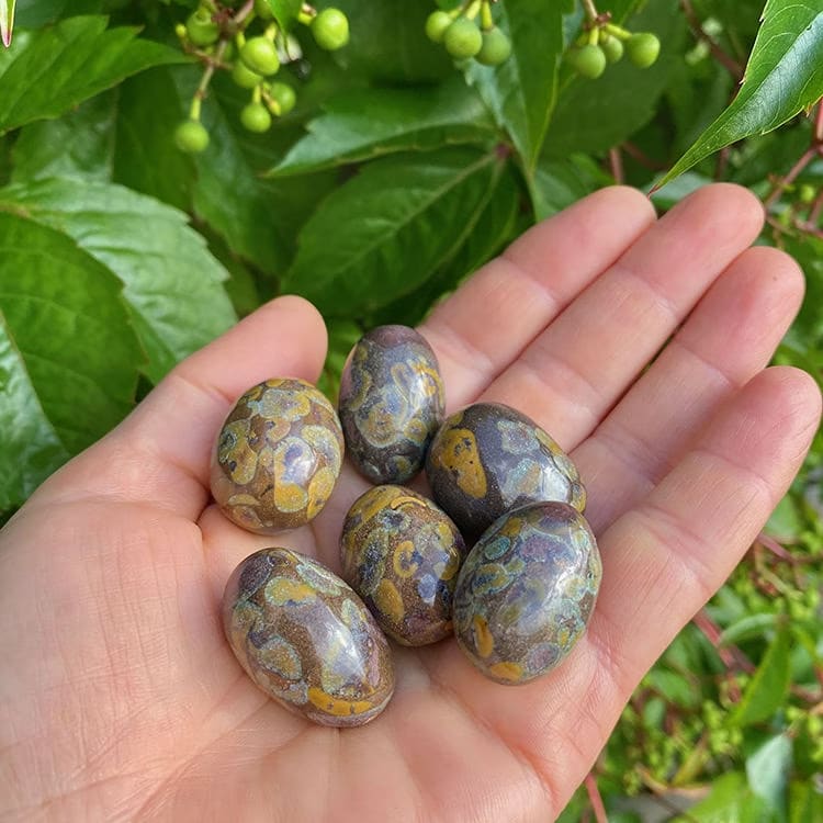 Kristallpunkten Jaspis Frukt Trumlade stenar 100gr