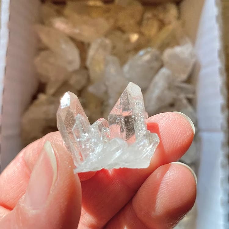 Kristallpunkten Bergkristall Babykluster 2x50gr