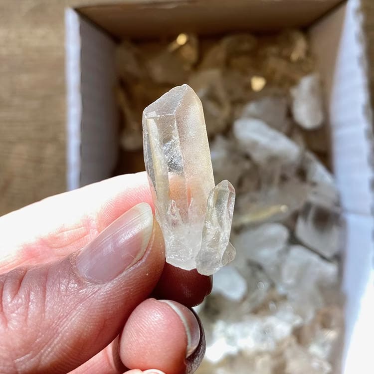 Kristallpunkten Bergkristall Babykluster 2x50gr