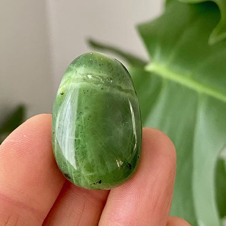 Kristallpunkten Nefrit Jade A Hängsmycke (Droppe)