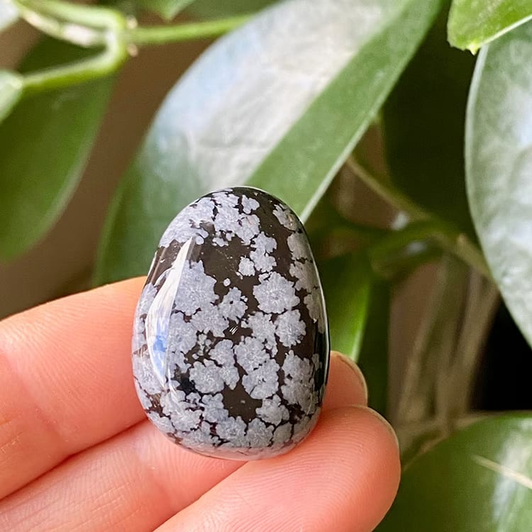 Kristallpunkten Obsidian Snöflinge A Hängsmycke (Droppe)