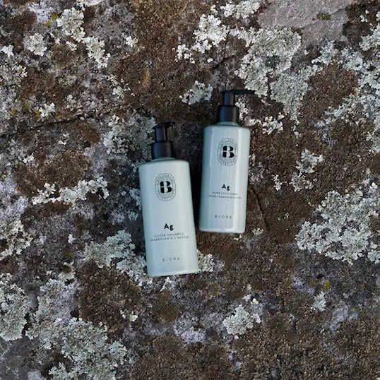 Björk AG Silver Conditioner 250 ml